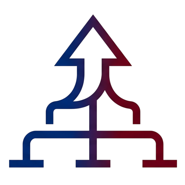 Franchise Launch & Executive Management